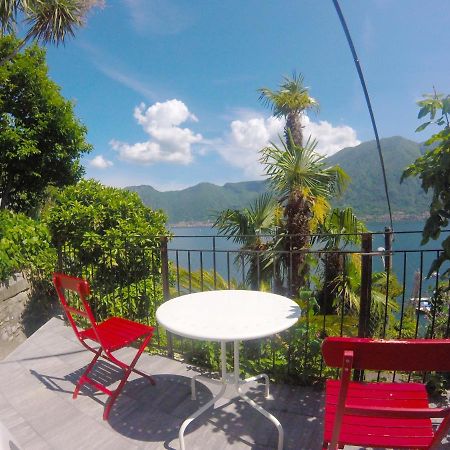 Apartment The Palm With Garden Sala Comacina Ngoại thất bức ảnh