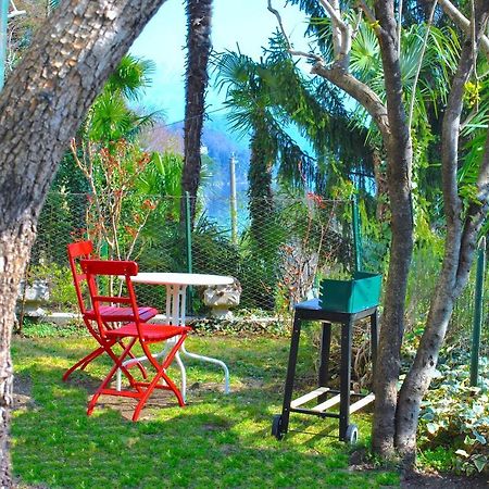 Apartment The Palm With Garden Sala Comacina Ngoại thất bức ảnh